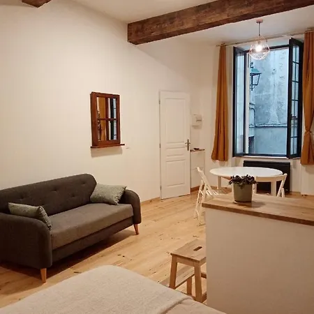 Studio-ville Medievale-charmant Apartment